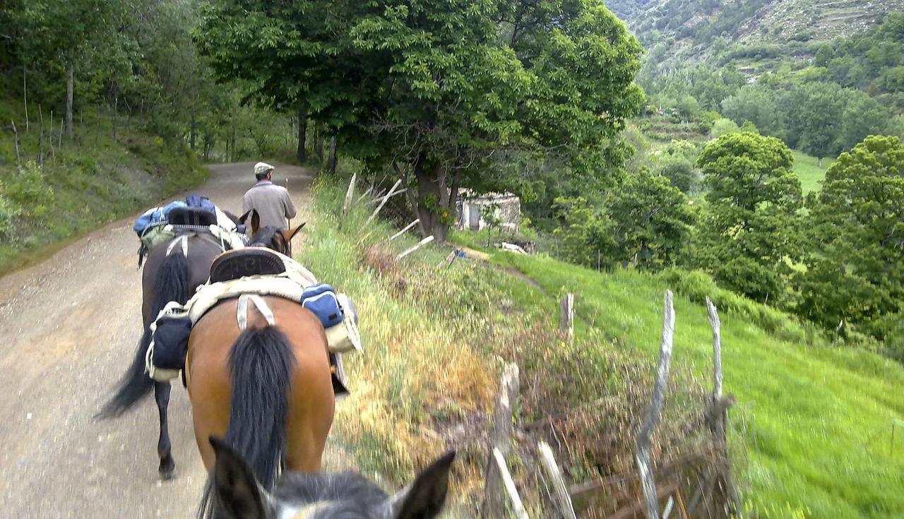 Refugio Alpujarra Alta Bed & Breakfast เตรเวเลซ ภายนอก รูปภาพ