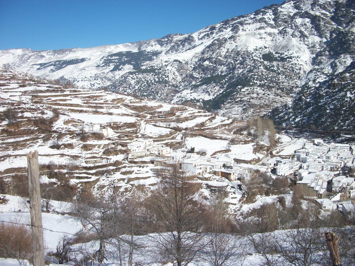 Refugio Alpujarra Alta Bed & Breakfast เตรเวเลซ ภายนอก รูปภาพ