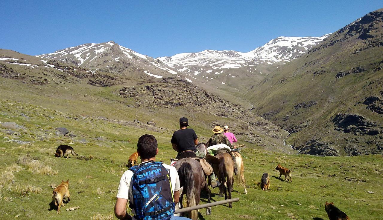 Refugio Alpujarra Alta Bed & Breakfast เตรเวเลซ ภายนอก รูปภาพ