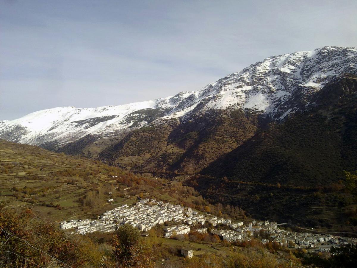 Refugio Alpujarra Alta Bed & Breakfast เตรเวเลซ ภายนอก รูปภาพ