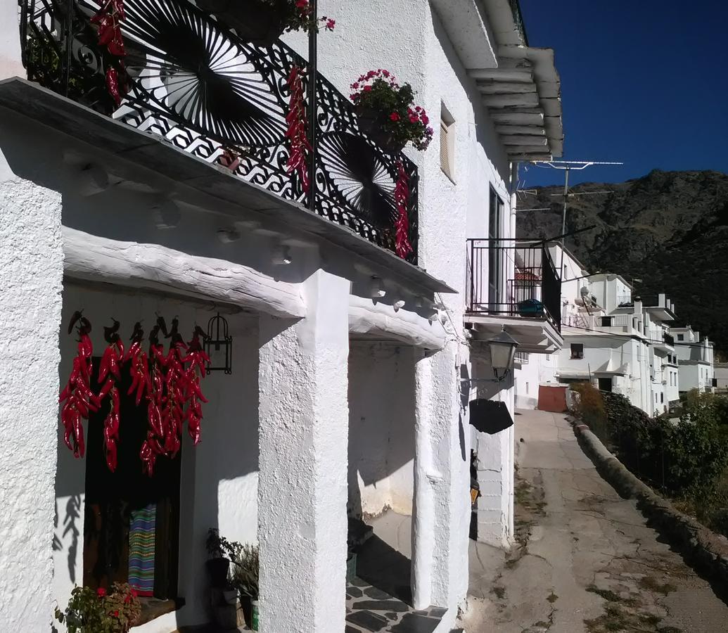 Refugio Alpujarra Alta Bed & Breakfast เตรเวเลซ ภายนอก รูปภาพ
