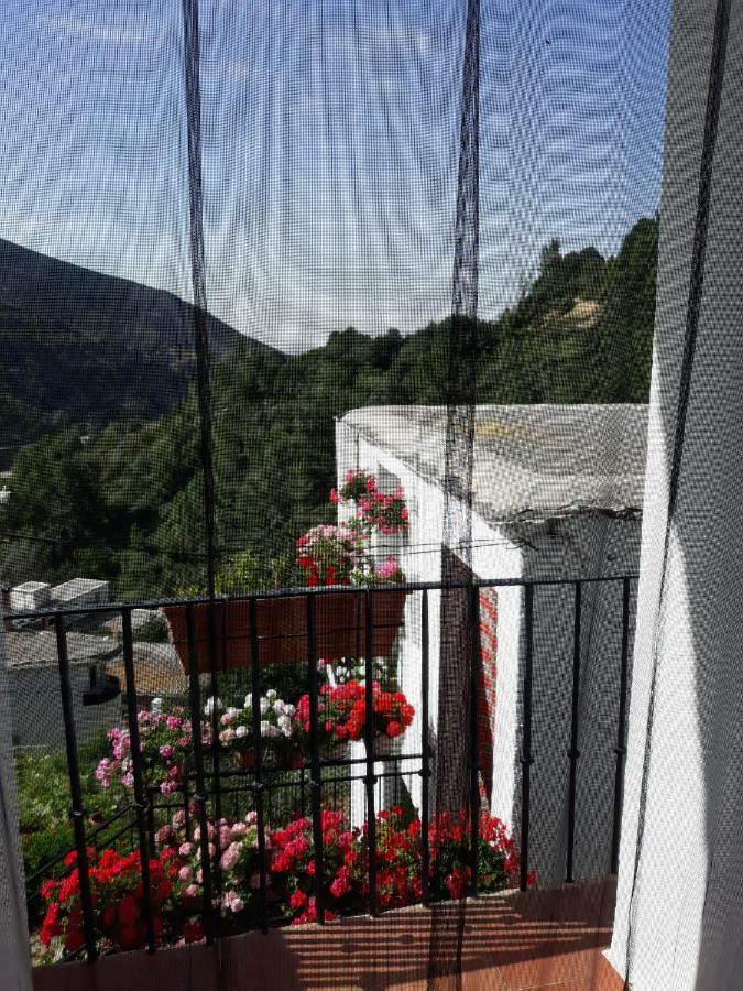 Refugio Alpujarra Alta Bed & Breakfast เตรเวเลซ ภายนอก รูปภาพ